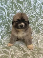 processed/462f3d09-0f96-4797-8734-057138279c53/listing/48ce84ac-7d55-4fdc-8cb4-cf1240867af0/3ce77230-8e21-4760-a55f-308a9c5bb306