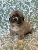 processed/462f3d09-0f96-4797-8734-057138279c53/listing/48ce84ac-7d55-4fdc-8cb4-cf1240867af0/7cc88c49-67ba-4d19-8e30-0ffef231354c