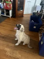 processed/462f3d09-0f96-4797-8734-057138279c53/listing/48ce84ac-7d55-4fdc-8cb4-cf1240867af0/85f68530-27b8-4e79-98e9-9b5d6576950c