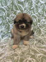 processed/462f3d09-0f96-4797-8734-057138279c53/listing/48ce84ac-7d55-4fdc-8cb4-cf1240867af0/ae8ccd39-73e4-49db-b66f-5f47943e8f97