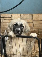 processed/462f3d09-0f96-4797-8734-057138279c53/listing/48ce84ac-7d55-4fdc-8cb4-cf1240867af0/e50212b1-6b71-4cf2-a5e5-6407e31aad2a