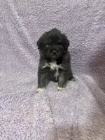 processed/462f3d09-0f96-4797-8734-057138279c53/listing/67d436e8-0f02-4ef3-811b-f06b1c201c91/11de85f8-295b-4c74-a0a5-035f0c3be2fc