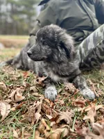 processed/462f3d09-0f96-4797-8734-057138279c53/listing/67d436e8-0f02-4ef3-811b-f06b1c201c91/28275b13-f68a-4453-ab71-802cb7495d1e