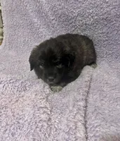 processed/462f3d09-0f96-4797-8734-057138279c53/listing/67d436e8-0f02-4ef3-811b-f06b1c201c91/32181e7c-b776-4191-b7a7-2be9447781af