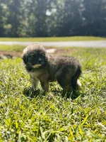 processed/462f3d09-0f96-4797-8734-057138279c53/listing/67d436e8-0f02-4ef3-811b-f06b1c201c91/3910d9b4-2833-4821-9b95-d4cbd7a14054