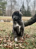 processed/462f3d09-0f96-4797-8734-057138279c53/listing/67d436e8-0f02-4ef3-811b-f06b1c201c91/626ec2bd-61fe-42fd-89fa-9d54c3f05e5c