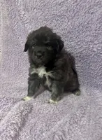 processed/462f3d09-0f96-4797-8734-057138279c53/listing/67d436e8-0f02-4ef3-811b-f06b1c201c91/83ec0ec6-7a7f-4f23-8aa2-343f7d337c65