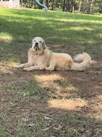 processed/462f3d09-0f96-4797-8734-057138279c53/listing/67d436e8-0f02-4ef3-811b-f06b1c201c91/a49df1e3-1818-4539-973d-d72140ec82c2