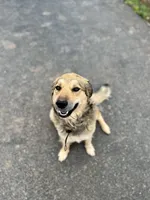 processed/462f3d09-0f96-4797-8734-057138279c53/listing/67d436e8-0f02-4ef3-811b-f06b1c201c91/e89ddb0f-a550-4bb5-a9fc-782477805899