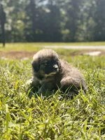 processed/462f3d09-0f96-4797-8734-057138279c53/listing/67d436e8-0f02-4ef3-811b-f06b1c201c91/f119c903-25be-41c3-89e0-a4178d123d25