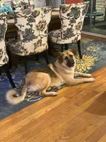 processed/462f3d09-0f96-4797-8734-057138279c53/listing/6a7c899e-b117-429f-b4bb-b876688564f3/01f5c980-ddaa-48d6-9e46-f670b6a85649