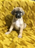 processed/462f3d09-0f96-4797-8734-057138279c53/listing/6a7c899e-b117-429f-b4bb-b876688564f3/03dd2382-1d0f-431e-a191-662f26be9e1d