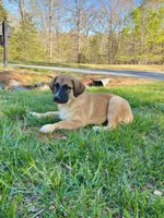 processed/462f3d09-0f96-4797-8734-057138279c53/listing/6a7c899e-b117-429f-b4bb-b876688564f3/60bb1a62-a066-4369-a49f-4c8eaf916988