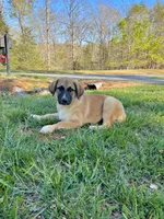 processed/462f3d09-0f96-4797-8734-057138279c53/listing/6a7c899e-b117-429f-b4bb-b876688564f3/c8fc50b9-33dd-4ae0-b939-04cbf7cfa86d