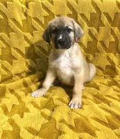 processed/462f3d09-0f96-4797-8734-057138279c53/listing/6a7c899e-b117-429f-b4bb-b876688564f3/d371a8b5-e637-49ce-8b6f-67bc8c4bb72c