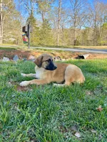 processed/462f3d09-0f96-4797-8734-057138279c53/listing/6a7c899e-b117-429f-b4bb-b876688564f3/f06d393f-27fb-4b51-af21-469a15e2e27d