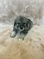 processed/462f3d09-0f96-4797-8734-057138279c53/listing/6c343fce-0cbf-4212-9df2-3ff65efee45b/617af776-38a5-40a9-ab58-13a13aba794b