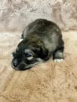 processed/462f3d09-0f96-4797-8734-057138279c53/listing/6c343fce-0cbf-4212-9df2-3ff65efee45b/8ca1db96-7f71-40a5-ba41-430937c26bb6