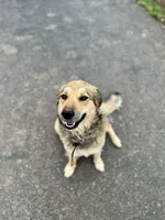 processed/462f3d09-0f96-4797-8734-057138279c53/listing/6c343fce-0cbf-4212-9df2-3ff65efee45b/97b0211a-acbb-44ce-ba62-db2ef744130d