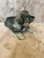 processed/462f3d09-0f96-4797-8734-057138279c53/listing/6c343fce-0cbf-4212-9df2-3ff65efee45b/cc3ba720-8848-436f-aa36-90324da51335