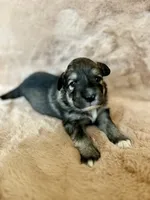 processed/462f3d09-0f96-4797-8734-057138279c53/listing/6c343fce-0cbf-4212-9df2-3ff65efee45b/e002430f-50cf-48f9-9635-8c815351fab3