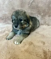 processed/462f3d09-0f96-4797-8734-057138279c53/listing/6c343fce-0cbf-4212-9df2-3ff65efee45b/e144fea7-bcac-402d-90b9-9db5b8fef528