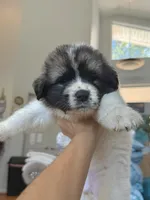 processed/462f3d09-0f96-4797-8734-057138279c53/listing/73beef42-0b88-4e6c-ad9d-cf6a2bf0bc25/1e6afe57-059c-48db-9f7d-c1e3f0ec1bc9