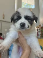 processed/462f3d09-0f96-4797-8734-057138279c53/listing/7a0308d5-2abe-454a-ba49-6e919cf99b0c/30fa72f6-76f0-44d4-98a6-20fcba1751b3