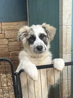 processed/462f3d09-0f96-4797-8734-057138279c53/listing/7a0308d5-2abe-454a-ba49-6e919cf99b0c/5769c5d9-cf4e-4f4c-be41-7d93a36ab61a