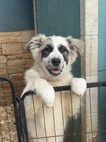 processed/462f3d09-0f96-4797-8734-057138279c53/listing/7a0308d5-2abe-454a-ba49-6e919cf99b0c/73e064bb-40ba-41b4-810f-4cbeab92d8bc