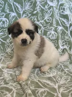 processed/462f3d09-0f96-4797-8734-057138279c53/listing/7a0308d5-2abe-454a-ba49-6e919cf99b0c/96c2fcfc-12af-46bf-a4c7-a28197449563