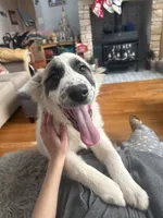 processed/462f3d09-0f96-4797-8734-057138279c53/listing/7a0308d5-2abe-454a-ba49-6e919cf99b0c/b6fa5158-9548-4f84-a936-effa63ff275a