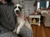 processed/462f3d09-0f96-4797-8734-057138279c53/listing/7a0308d5-2abe-454a-ba49-6e919cf99b0c/c295fa5e-c021-4ac6-9243-3c4440096f82