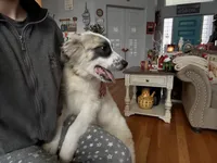 processed/462f3d09-0f96-4797-8734-057138279c53/listing/7a0308d5-2abe-454a-ba49-6e919cf99b0c/cd8faf0e-6758-4d7b-a074-bd74b066dfd4