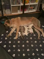 processed/462f3d09-0f96-4797-8734-057138279c53/listing/8e058d0c-5df2-44f6-bab7-d5182b223964/08726aa5-776e-48ab-8a26-87de714fde39