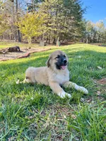 processed/462f3d09-0f96-4797-8734-057138279c53/listing/8e058d0c-5df2-44f6-bab7-d5182b223964/0b6d2b4d-8b6a-4d95-88f2-50d0154ee66b