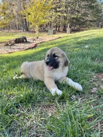 processed/462f3d09-0f96-4797-8734-057138279c53/listing/8e058d0c-5df2-44f6-bab7-d5182b223964/54ee79c2-a27c-4374-ab87-1f126a52f583