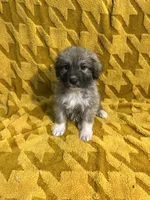 processed/462f3d09-0f96-4797-8734-057138279c53/listing/8e058d0c-5df2-44f6-bab7-d5182b223964/b7fb1e11-44d7-4e32-842d-407a5a03e777