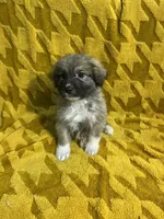 processed/462f3d09-0f96-4797-8734-057138279c53/listing/8e058d0c-5df2-44f6-bab7-d5182b223964/cd3c96c6-156f-4ae4-897e-2c7b27d4ad06