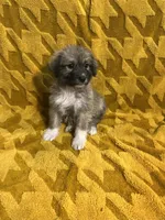 processed/462f3d09-0f96-4797-8734-057138279c53/listing/8e058d0c-5df2-44f6-bab7-d5182b223964/e028a117-cb9c-43ae-bede-bbf5def11c8a