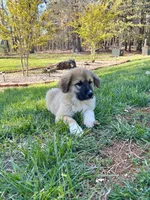 processed/462f3d09-0f96-4797-8734-057138279c53/listing/8e058d0c-5df2-44f6-bab7-d5182b223964/f1f28043-b731-4c31-b5b7-d319d6e1eb18