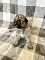 processed/462f3d09-0f96-4797-8734-057138279c53/listing/95cf8534-81ff-46aa-8831-79b9a3c0f0e2/04f7ef40-3010-4a06-a4ad-5fb9d09791ec