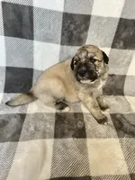 processed/462f3d09-0f96-4797-8734-057138279c53/listing/95cf8534-81ff-46aa-8831-79b9a3c0f0e2/07133d5d-1135-46b7-9ccd-e55c9afa1e64