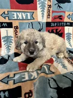 processed/462f3d09-0f96-4797-8734-057138279c53/listing/95cf8534-81ff-46aa-8831-79b9a3c0f0e2/9a4f8ad0-dd44-4403-b15e-6b01bd3a1ac3