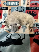 processed/462f3d09-0f96-4797-8734-057138279c53/listing/95cf8534-81ff-46aa-8831-79b9a3c0f0e2/b8909534-dfc7-4340-82a4-82a2a80990d7