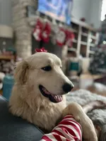 processed/462f3d09-0f96-4797-8734-057138279c53/listing/95cf8534-81ff-46aa-8831-79b9a3c0f0e2/d0d2f607-53dc-4513-88d0-9f4a04122cf8