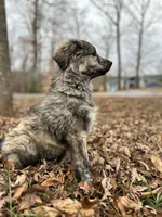 processed/462f3d09-0f96-4797-8734-057138279c53/listing/9ea1aa74-2e1d-45ee-a1ce-74332b8f3b96/66fdf993-6877-4379-a559-8bf749237b08