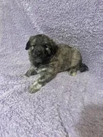 processed/462f3d09-0f96-4797-8734-057138279c53/listing/9ea1aa74-2e1d-45ee-a1ce-74332b8f3b96/ef4ac695-be40-4316-94ee-73f32f7b0934