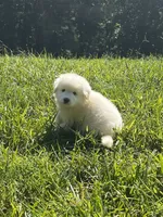 processed/462f3d09-0f96-4797-8734-057138279c53/listing/9f8c7f2b-cab4-4a92-b9b8-55c1bb47e981/052960e5-e62c-4851-ab34-ab3c0811ee08