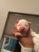 processed/462f3d09-0f96-4797-8734-057138279c53/listing/9f8c7f2b-cab4-4a92-b9b8-55c1bb47e981/15df8c43-5a08-44a9-b40e-6e9288f7bfe8